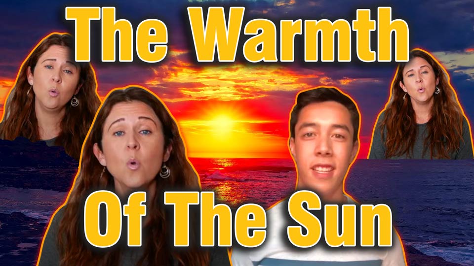 The Warmth Of The Sun - Cover